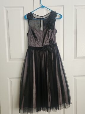Review Black and Dusty Rose Lace Overlay A-Line Dress